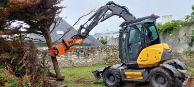 Enlèvement d'une haie de cyprès 