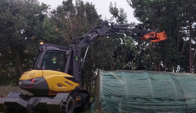 Rabattage d'une haie de lauriers au dessus d'une serre